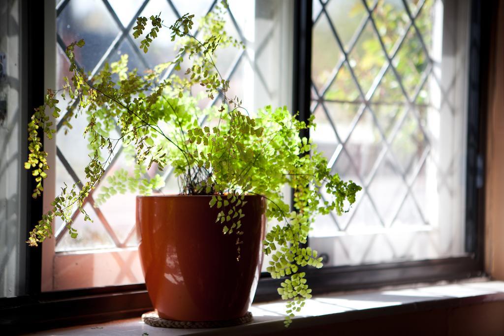 Kester House Hurst Green エクステリア 写真